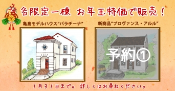 お年玉特価で販売中！（アルル予約?）